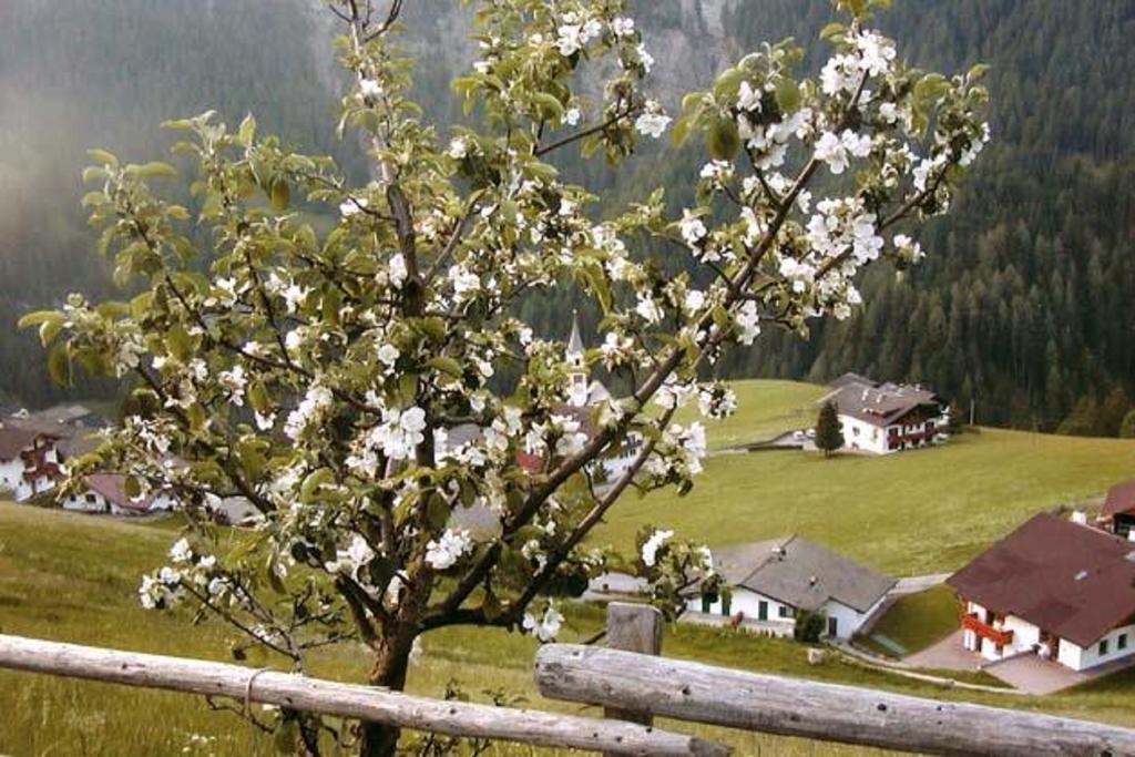 Agriturismo Apartments Tuene Ортизей Екстериор снимка